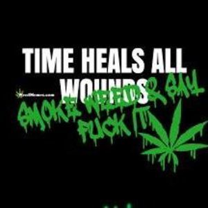 Meet your Posher, Sammy